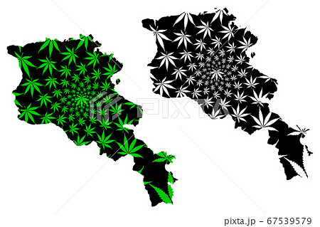 Armenia - map is designed cannabis leaf Armenia - map is designed cannabis leaf 67539579