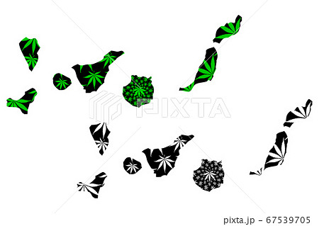 Canary Islands - map is designed cannabis leaf 67539705