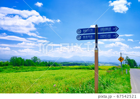 青空と畑 67542521