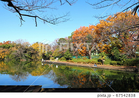 等々力緑地 つり池 秋 紅葉 神奈川県川崎市 等々力緑地 つり池 秋 紅葉 神奈川県川崎市 67542838