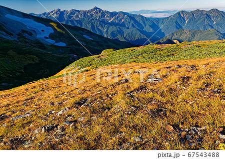 白馬岳稜線の草紅葉と剱岳・毛勝三山・白山の眺め 67543488