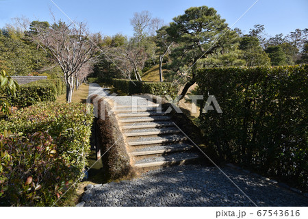 桂離宮　架け橋 67543616