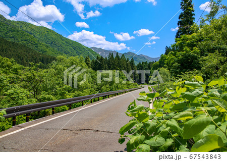 土樽 毛渡沢付近の景色 新緑のころ 新潟県湯沢町 土樽 毛渡沢付近の景色 新緑のころ 新潟県湯沢町 67543843