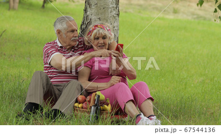 Family picnic. Senior old grandparents couple in park using smartphone online browsing, shopping Family picnic. Senior old grandparents couple in park using smartphone online browsing, shopping 67544136