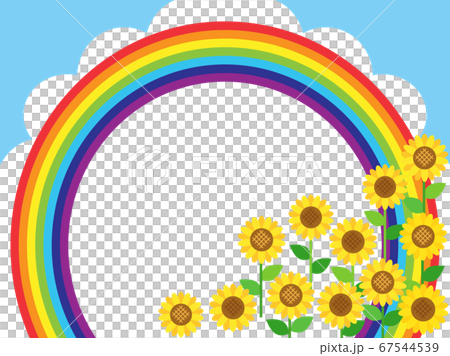 ひまわり59 ヒマワリ 向日葵 花 植物 ひまわり59 ヒマワリ 向日葵 花 植物 67544539