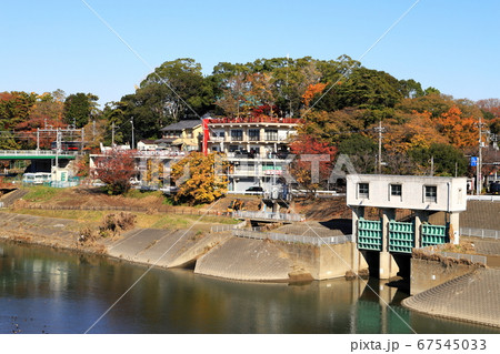 多摩川と紅葉　丸子橋にて 67545033