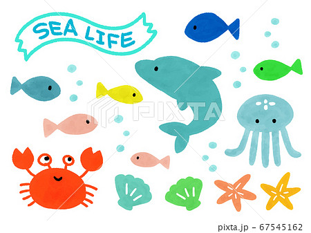 海のかわいい生き物のイラスト素材