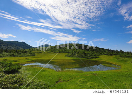夏の八甲田山、すがすがしい、さわやかな、景色 67545181