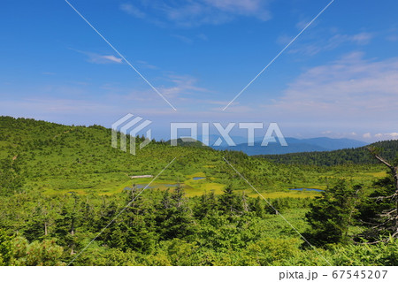 夏の八甲田山、すがすがしい、さわやかな、景色 67545207