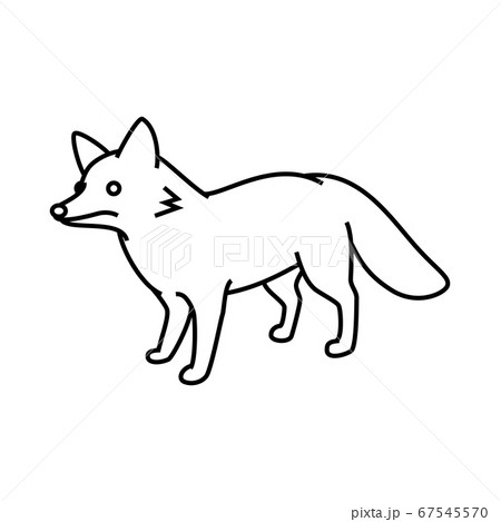 キツネのイラスト素材
