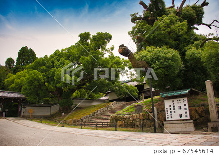 青蓮院門跡　長屋門 67545614