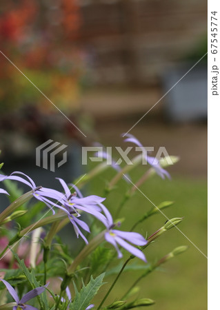 同じ方法へ 67545774