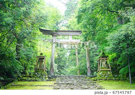 平泉寺白山神社 一の鳥居 苔寺 初夏 精進坂 平泉寺白山神社 一の鳥居 苔寺 初夏 精進坂 67545797