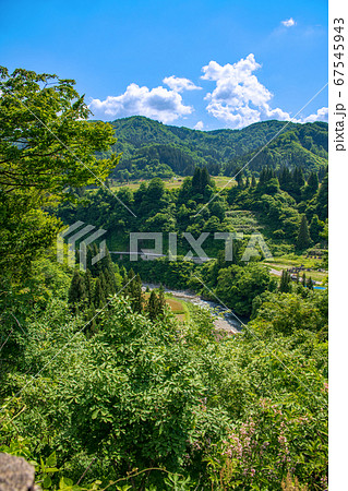 清津川　清津峡入口付近の景色　景色　新緑のころ　新潟県十日町市　 67545943