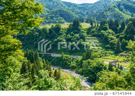 清津川　清津峡入口付近の景色　景色　新緑のころ　新潟県十日町市　 67545944