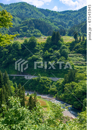 清津川　清津峡入口付近の景色　景色　新緑のころ　新潟県十日町市　 67545945