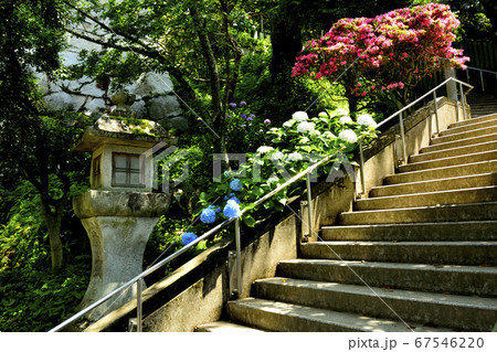 雨引観音 67546220