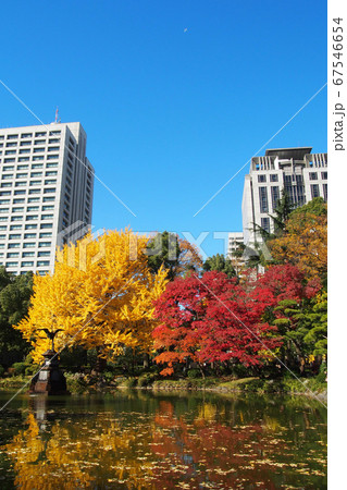 日比谷公園の紅葉と霞が関の官庁の建物 縦構図 日比谷公園の紅葉と霞が関の官庁の建物 縦構図 67546654