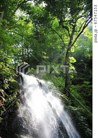 青森県十和田市　奥入瀬渓流　雲井の滝　涼しい　水しぶき 67547153