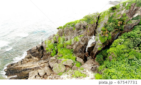 久米島のミーフガー 67547731