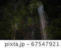 箕面大滝とホタル 67547921