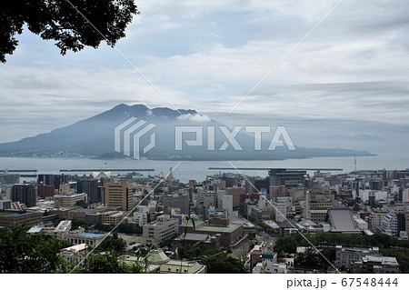 桜島と雲海 桜島と雲海 67548444