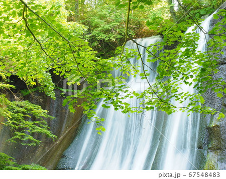 北海道の風景 滝野 鱒見の滝 北海道の風景 滝野 鱒見の滝 67548483
