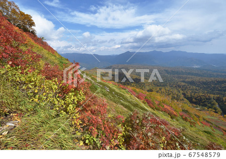 銀泉台の紅葉（北海道・上川町・大雪山系） 67548579