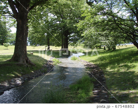 初夏の公園 信玄堤公園 初夏の公園 信玄堤公園 67548802