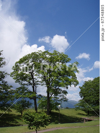 初夏の公園 信玄堤公園 初夏の公園 信玄堤公園 67548805