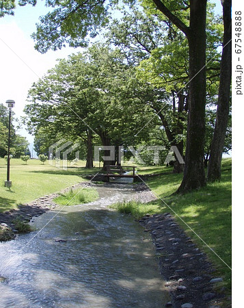 初夏の公園　信玄堤公園 67548888