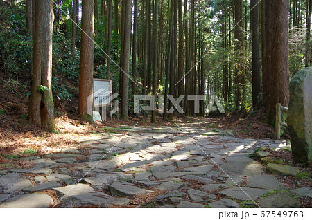 箱根旧街道の石畳 箱根旧街道の石畳 67549763