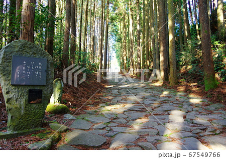 箱根旧街道の石畳(静岡県三島市) 箱根旧街道の石畳(静岡県三島市) 67549766