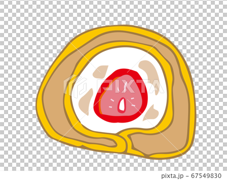 Roll cake cross section 67549830