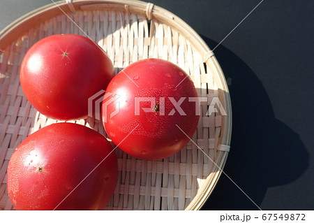トマト トマト 67549872