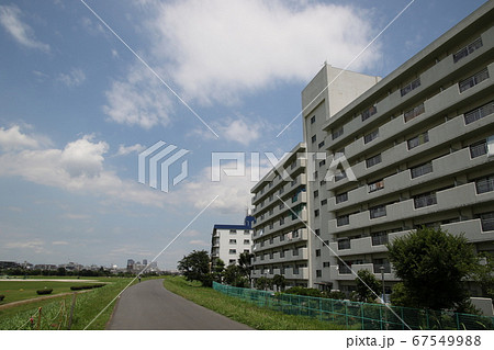 晴れた日に六郷川土手の空を見上げた 晴れた日に六郷川土手の空を見上げた 67549988