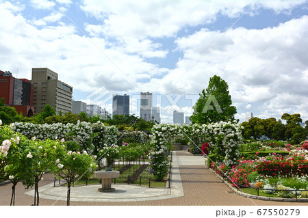 横浜・山下公園 横浜・山下公園 67550279
