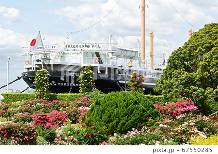 横浜・山下公園 67550285