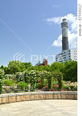 横浜・山下公園 67550317