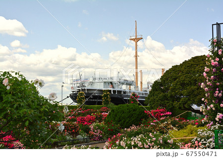 横浜・山下公園 横浜・山下公園 67550471