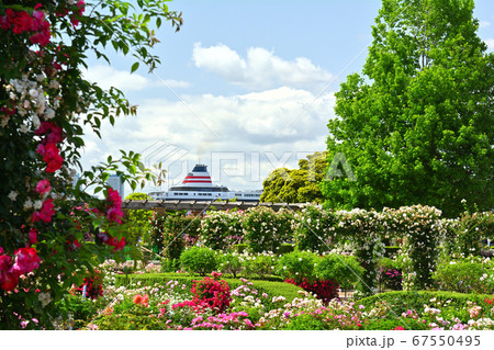 横浜・山下公園 67550495
