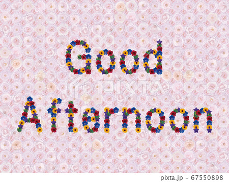 花 こんにちは 英語 B ナエマ の写真素材