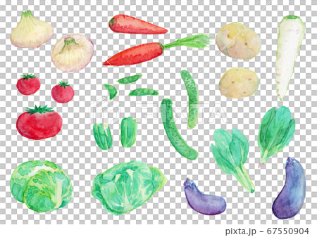 Vegetable set 67550904