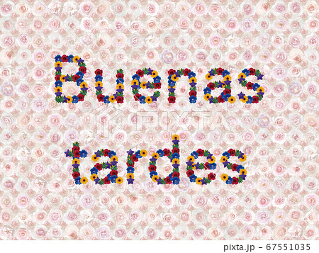花 こんにちは スペイン語 B フレグラントヒル の写真素材