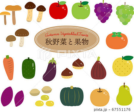 秋野菜と果物 シンプルver のイラスト素材
