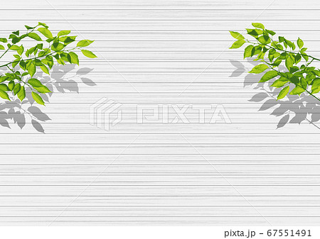 新緑　白い木目板　 67551491