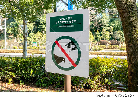 鳩の餌やり禁止看板の写真素材 [67551557] - PIXTA
