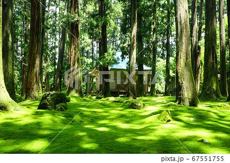 平泉寺白山神社 拝殿 苔寺 初夏 平泉寺白山神社 拝殿 苔寺 初夏 67551755