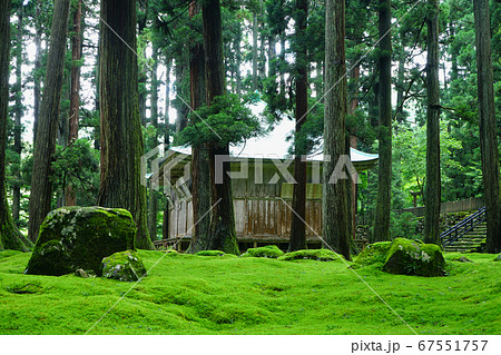平泉寺白山神社 拝殿 苔寺 初夏 平泉寺白山神社 拝殿 苔寺 初夏 67551757
