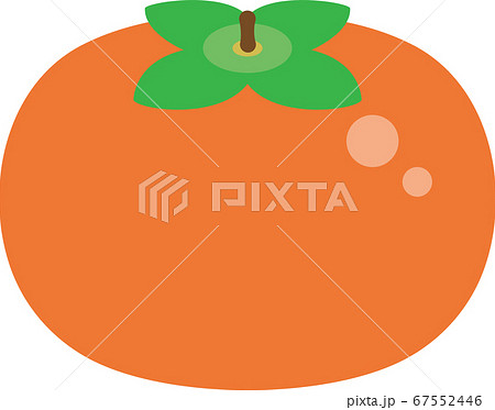柿のイラストのイラスト素材